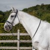 Dyon Round-Stitched Patent Leather Bridle, White Padded