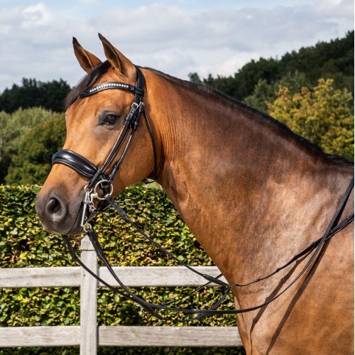 Dyon Double Bridle round-stitched