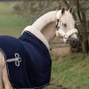 MASTER Show Rug with Collar