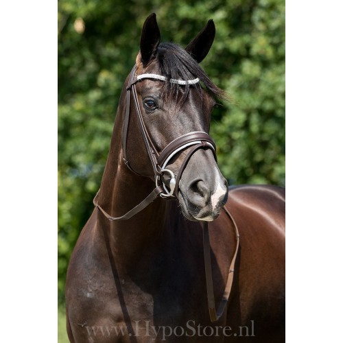 Premiera "Valentia" brown/white padded bridle with bling browband, silver fittings