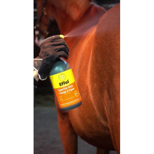 Effol SuperStar Shine Orange Ginger