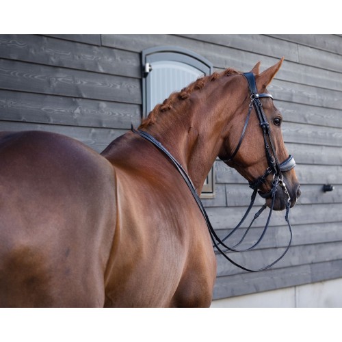 PresTeq FayPerform Double Bridle