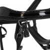 PresTeq Bridle FaySport Black Pearl