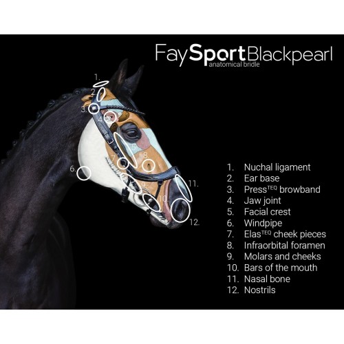 PresTeq Bridle FaySport Black Pearl