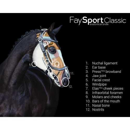 PresTeq FaySport Classic Bridle