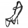 PresTeq FaySport Classic Bridle