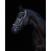PresTeq FaySport Classic Bridle