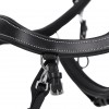 PresTeq FaySport Classic Bridle