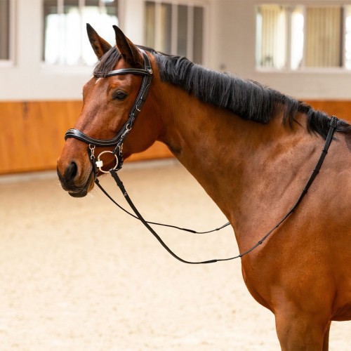 PresTeq FaySport Classic Bridle