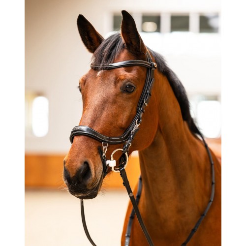 PresTeq FaySport Classic Bridle