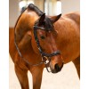 PresTeq FaySport Classic Bridle