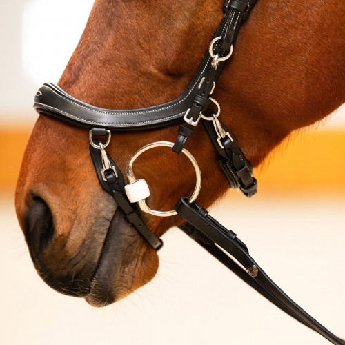 PresTeq FaySport Classic Bridle