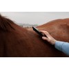 Grooming Deluxe Steel Curry Comb