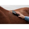 Grooming Deluxe Steel Curry Comb