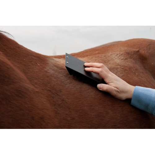 Grooming Deluxe Steel Curry Comb