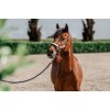 Red Horse SS26 Headcollar Set Akira