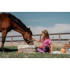 Red Horse SS26 Headcollar Set Akira