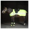 Harry's Horse Reflective Halter