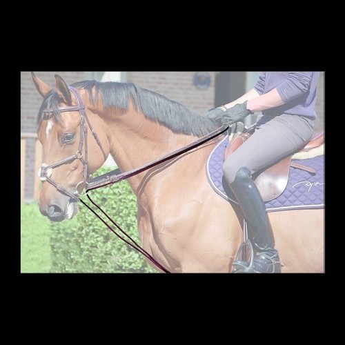Dyon Slofteugel in leer/nylon 5/8" D Collection