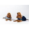 Horseware Newmarket Dog Coat