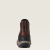 Ariat Terrain Blaze Waterproof Stable Shoe
