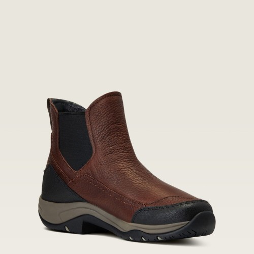 Ariat Terrain Blaze Waterproof Stable Shoe