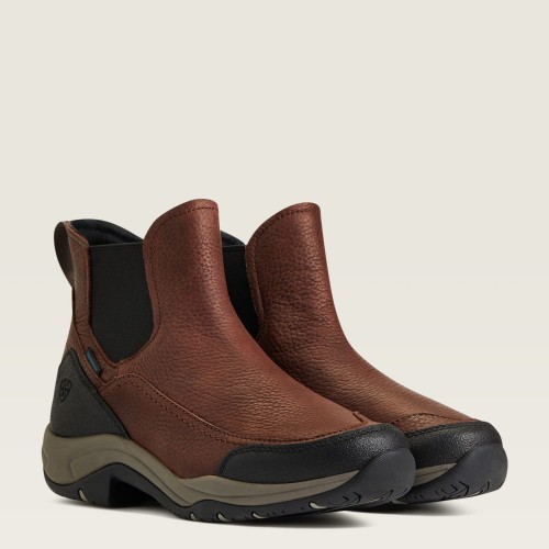 Ariat Terrain Blaze Waterproof Stable Shoe