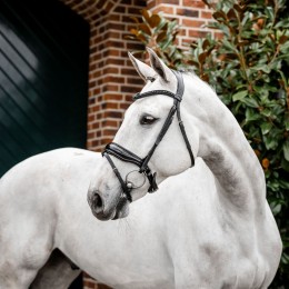 Horseware Diamante Flash уздечка