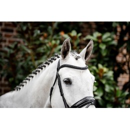 Horseware Diamante Flash уздечка
