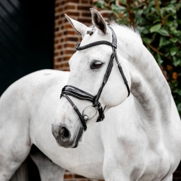 Horseware Diamante Flash уздечка