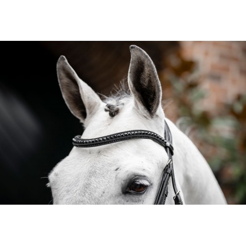 Horseware Diamante Flash Bridle