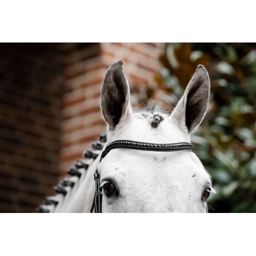 Horseware Diamante Flash Bridle
