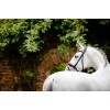 Horseware Diamante Flash Bridle