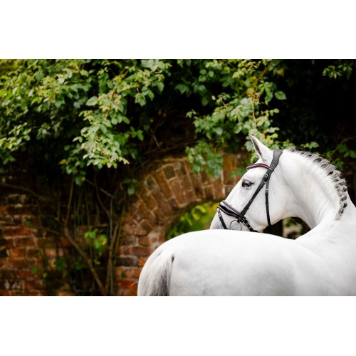 Horseware Diamante Flash Bridle
