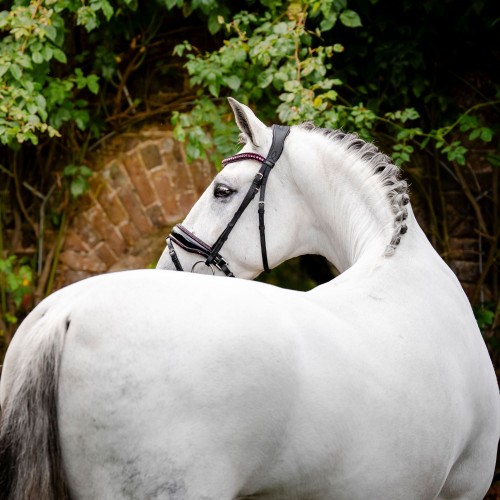 Horseware Diamante Flash Bridle