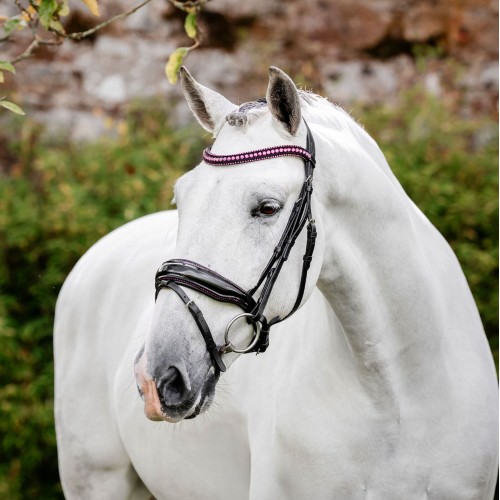 Horseware Diamante Flash Bridle