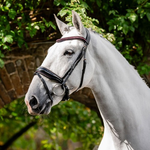 Horseware Diamante Flash Bridle