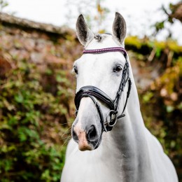 Horseware Diamante Flash уздечка