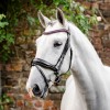 Horseware Diamante Flash Bridle