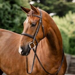 Horseware Hunter Laced поводья
