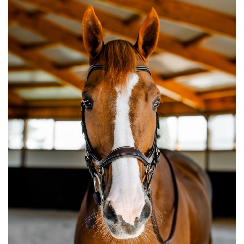 Horseware Micklem 3 Competition