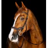 Horseware Micklem 3 Competition