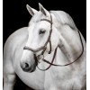 Horseware Micklem 3 Deluxe Competition