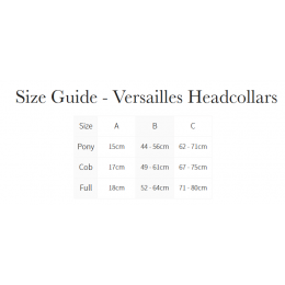 LeMieux SS26 Versailles Headворотник