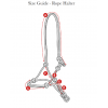 LeMieux SS25 Rope Halter
