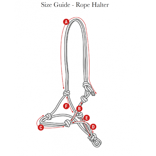LeMieux SS26 Rope Halter