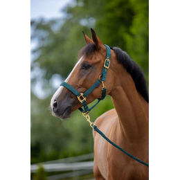 Covalliero TopLine недоуздок