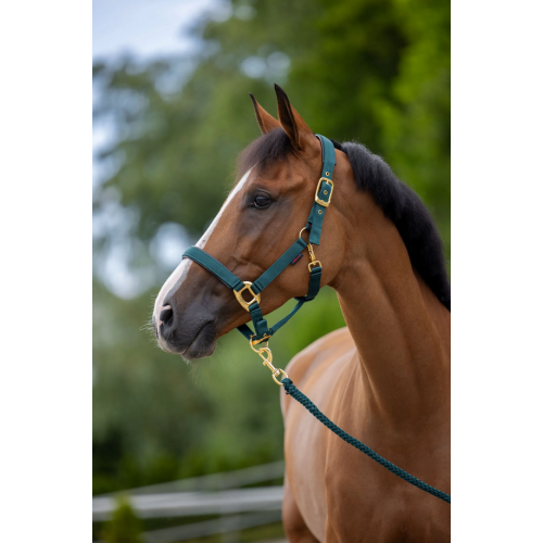 Covalliero TopLine Halter