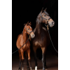 Covalliero TopLine Halter