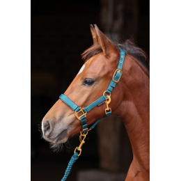Covalliero TopLine недоуздок